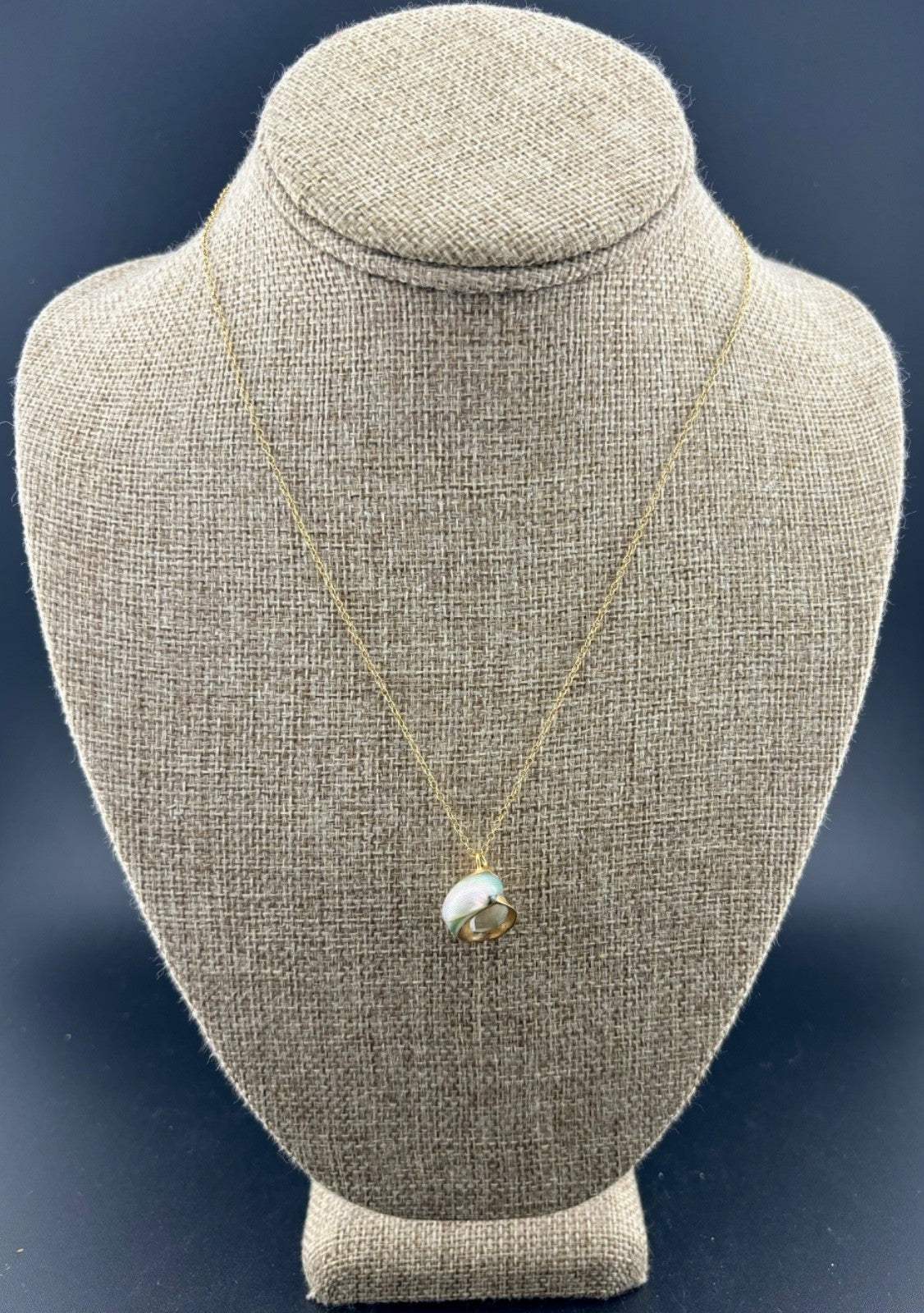 Vintage Gilded Natural SeaShell Pendant on Gold Filled Chain 17"