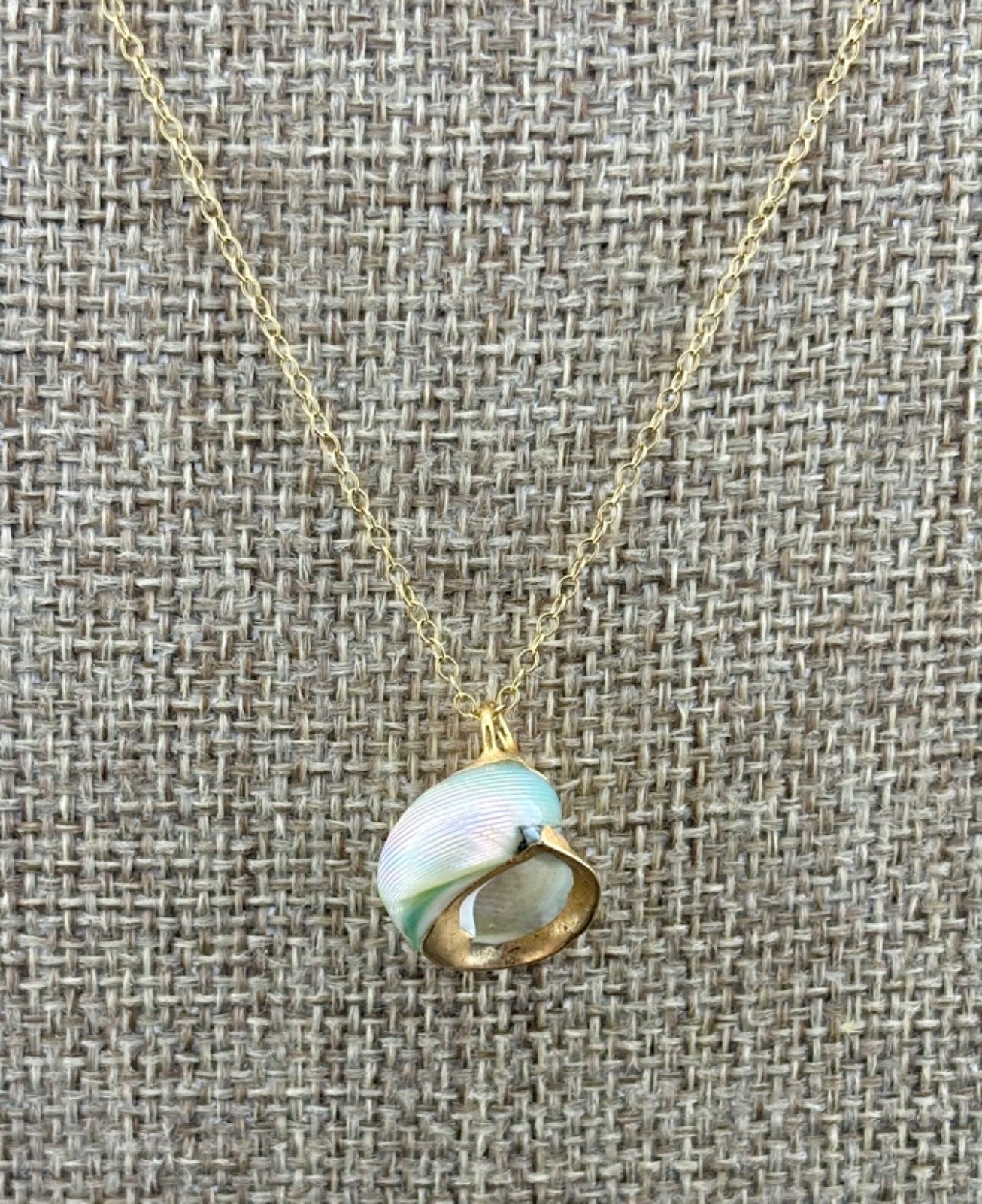 Vintage Gilded Natural SeaShell Pendant on Gold Filled Chain 17"