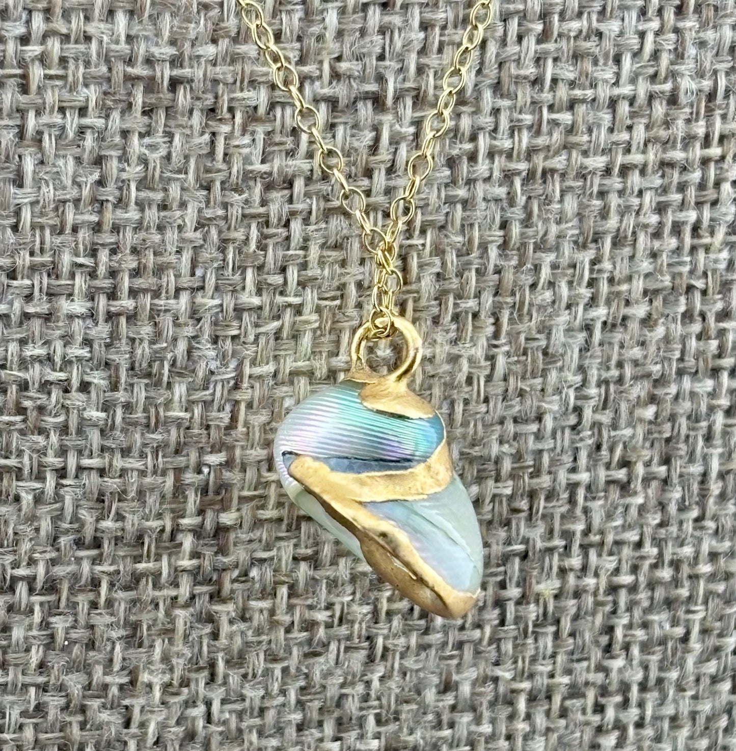Vintage Gilded Natural SeaShell Pendant on Gold Filled Chain 17"