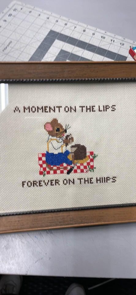 Cute Vintage Plastic Framed Cross Stitch A Moment On The Lips