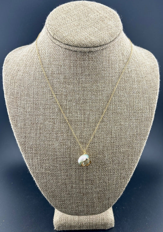 Vintage Gilded Natural SeaShell Pendant on Gold Filled Chain 17"