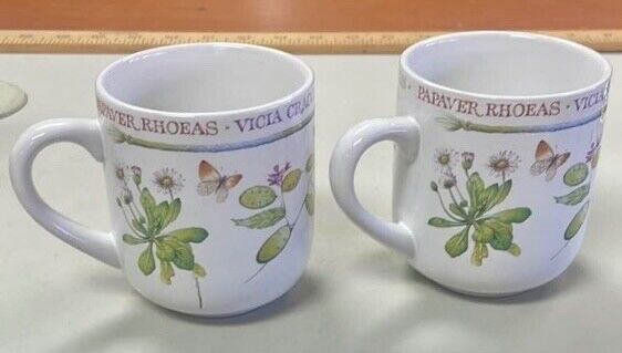 Pair of Wildflower Meadow Coffee Mugs