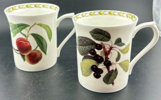Royal Horticultural Society Queen’s China Hookers Fruit Mugs Set Of 2 England