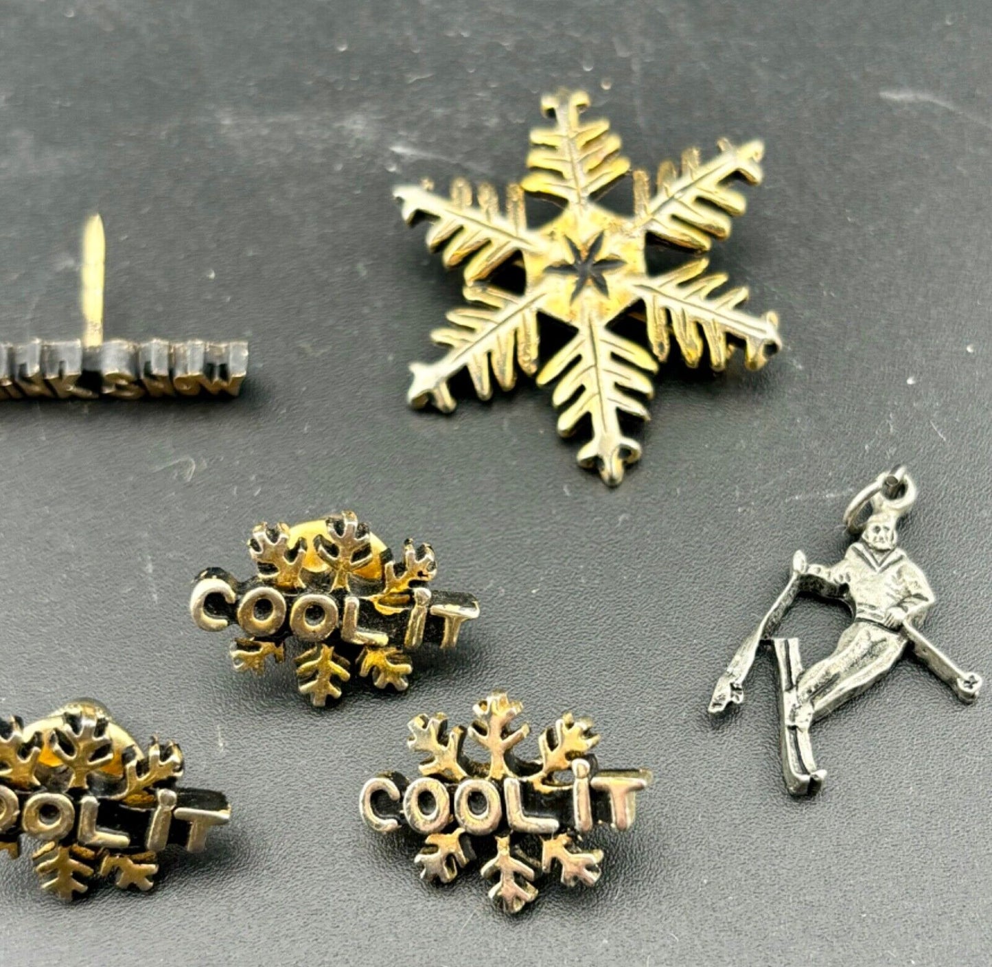 Lot of Nine Vintage Skiing Pins and Pendant NK