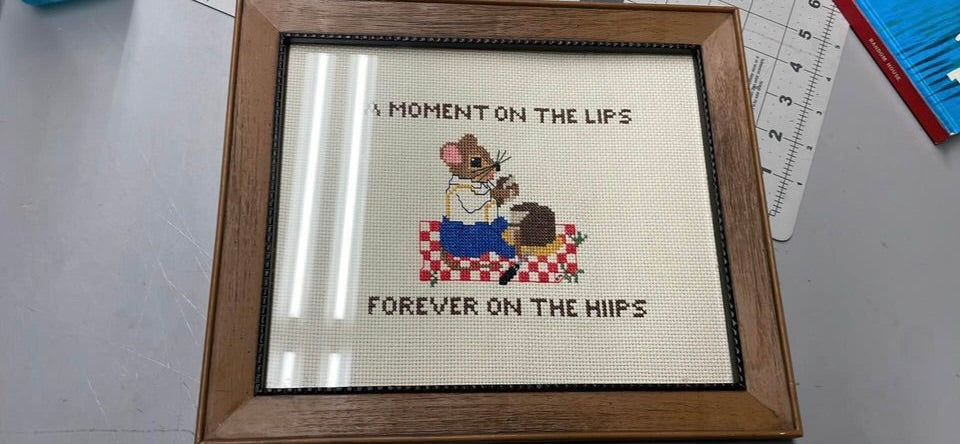 Cute Vintage Plastic Framed Cross Stitch A Moment On The Lips